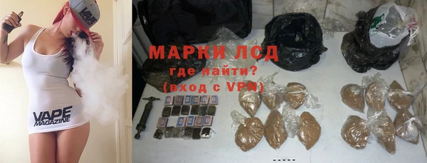 хмурый Абаза