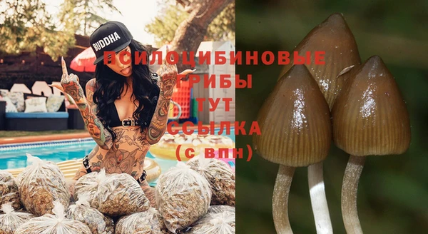 эйфоретик Лабытнанги