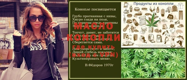 хмурый Абаза