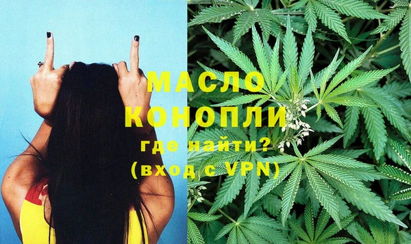 хмурый Абаза