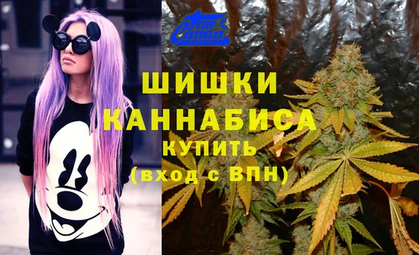 jwh Ладушкин