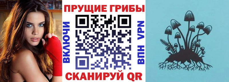 Псилоцибиновые грибы мухоморы  Архангельск 
